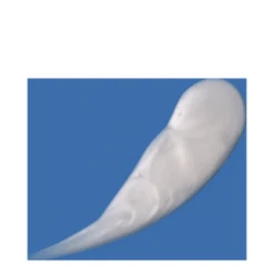 DCL Dermatologic Alpha Beta Gel Exfoliant -Nursing Store Alpha Beta Gel Exfoliant add3 37659 1555 general