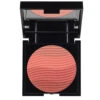 RVB Lab Color Waves Blush Compact -Nursing Store Color Waves Blush Compact 612 detail