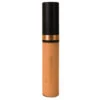 Osmosis MD Professional Flawless Concealer - Sienna -Nursing Store Flawless Concealer Sienna 30070 detail