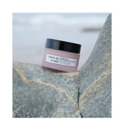 Algologie Radiance Firming And Lifting Cream -Nursing Store Radiance Firming and Lifting Cream add5 55118 4901 general