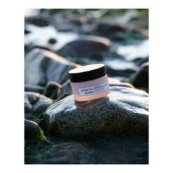 Algologie Radiance Firming And Lifting Cream -Nursing Store Radiance Firming and Lifting Cream add6 55118 6959 general