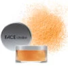 FACE Atelier Ultra Loose Powder - Translucent Pro -Nursing Store Ultra Loose Powder Blaze Pro 47648 7826 detail